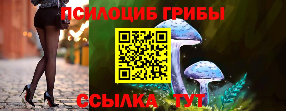 Псилоцибиновые грибы прущие грибы Арсеньев